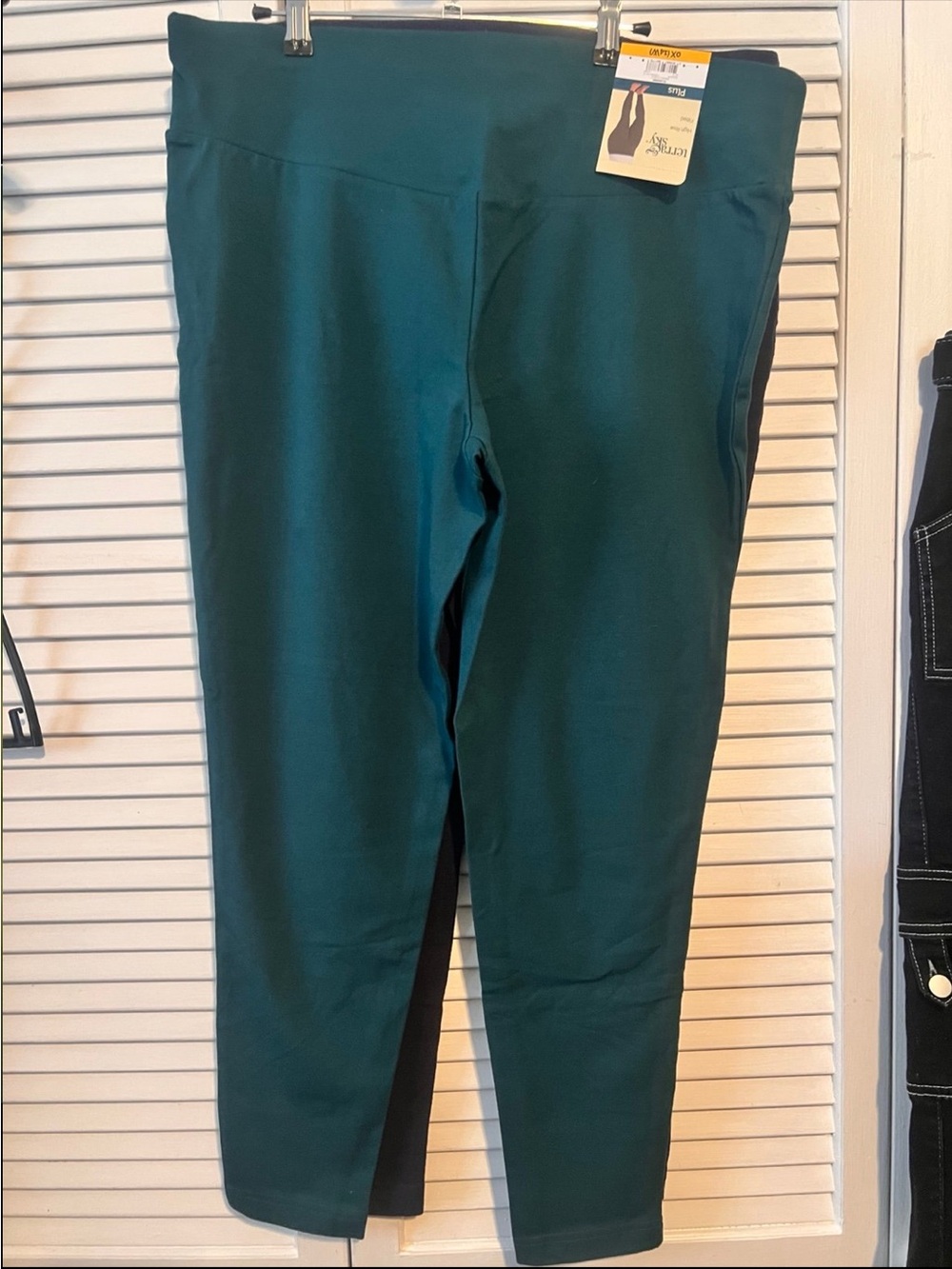 Women’s Bundle of (2)Terra & Sky Emerald Forest Plus High-Rise Leggings OX (7)